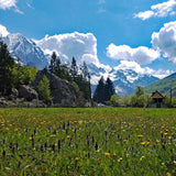Albania