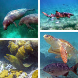 Belize