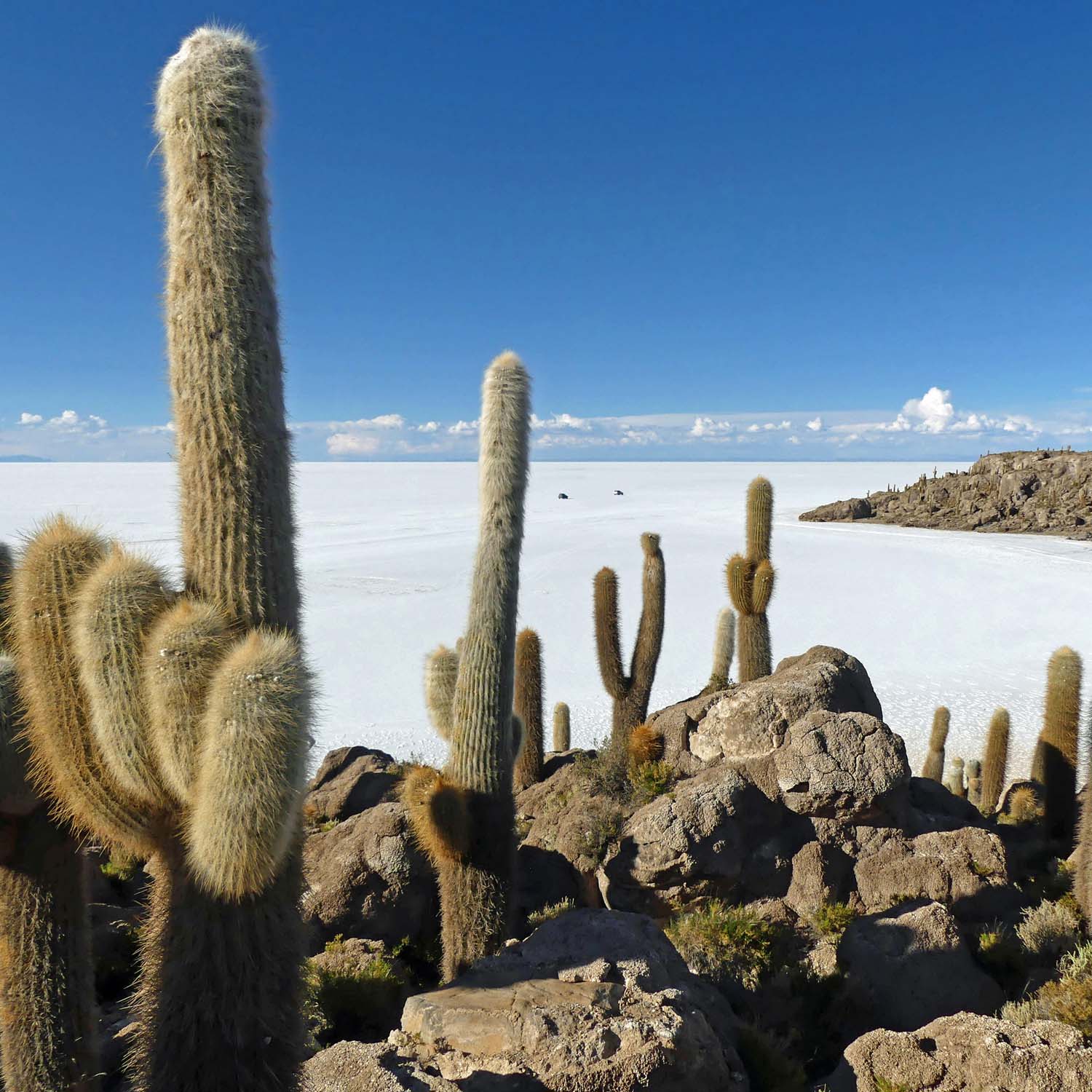 Bolivia