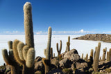 Bolivia