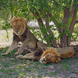 Botswana