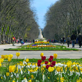 Bulgaria