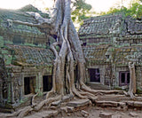 Cambodia