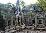 Cambodia