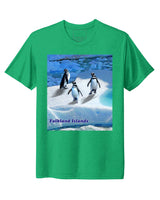 Falkland Islands
