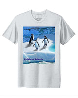 Falkland Islands