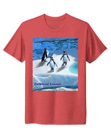 Falkland Islands