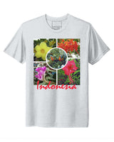 Indonesia