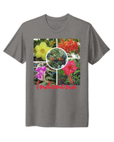 Indonesia