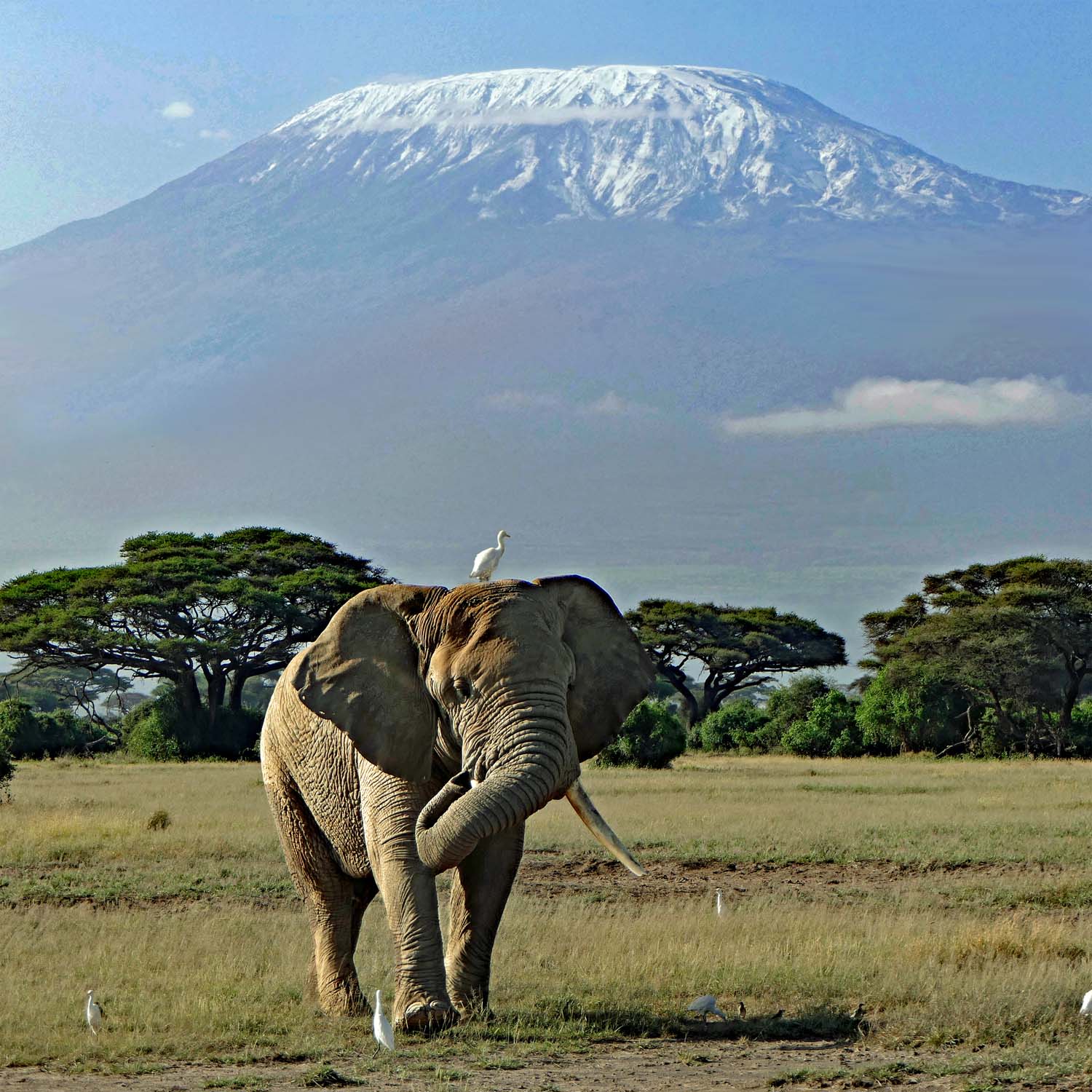 Kenya