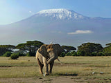 Kenya