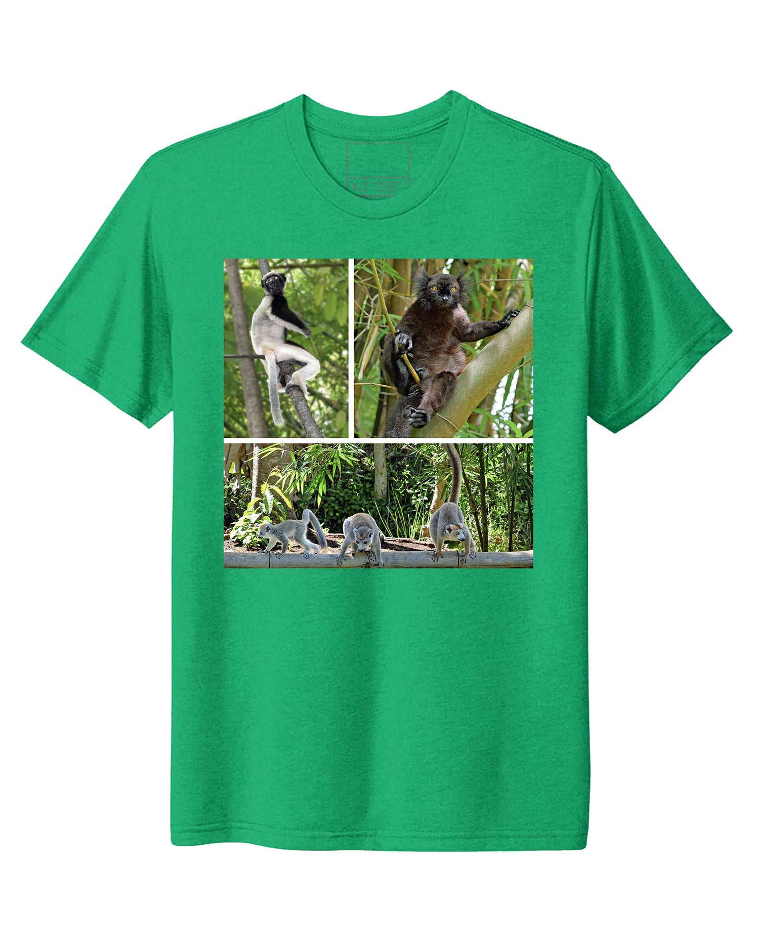 Madagascar