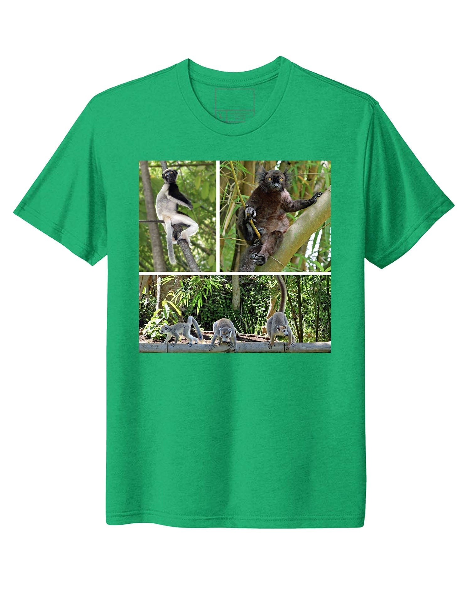 Madagascar