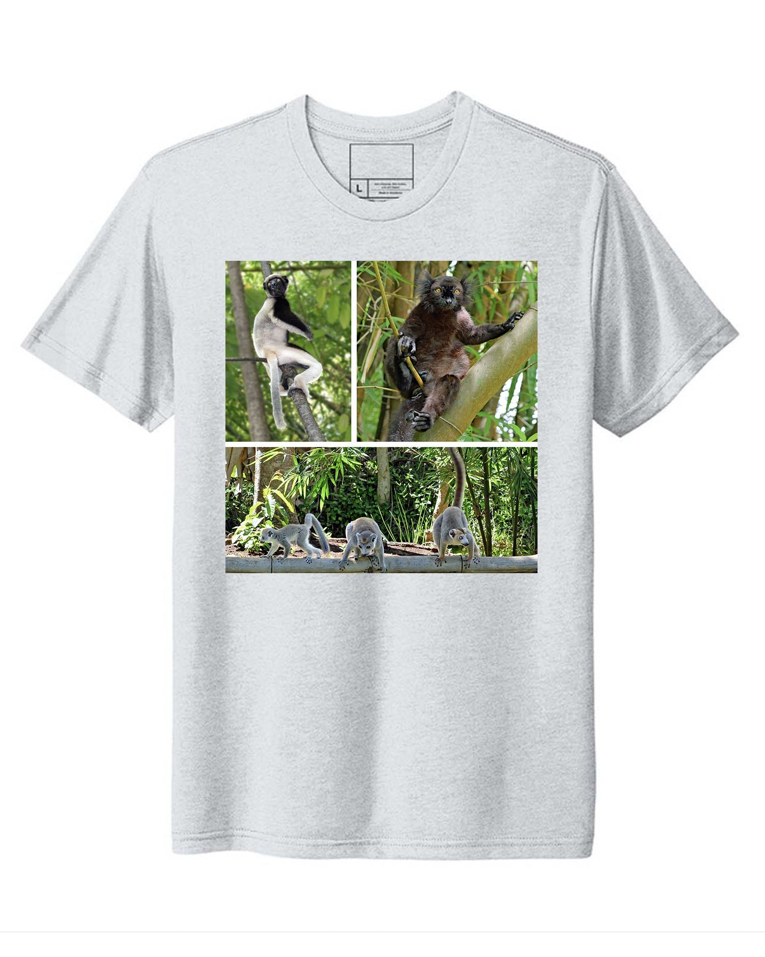 Madagascar