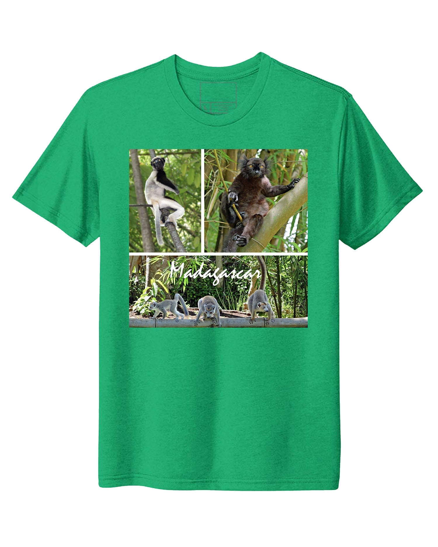 Madagascar