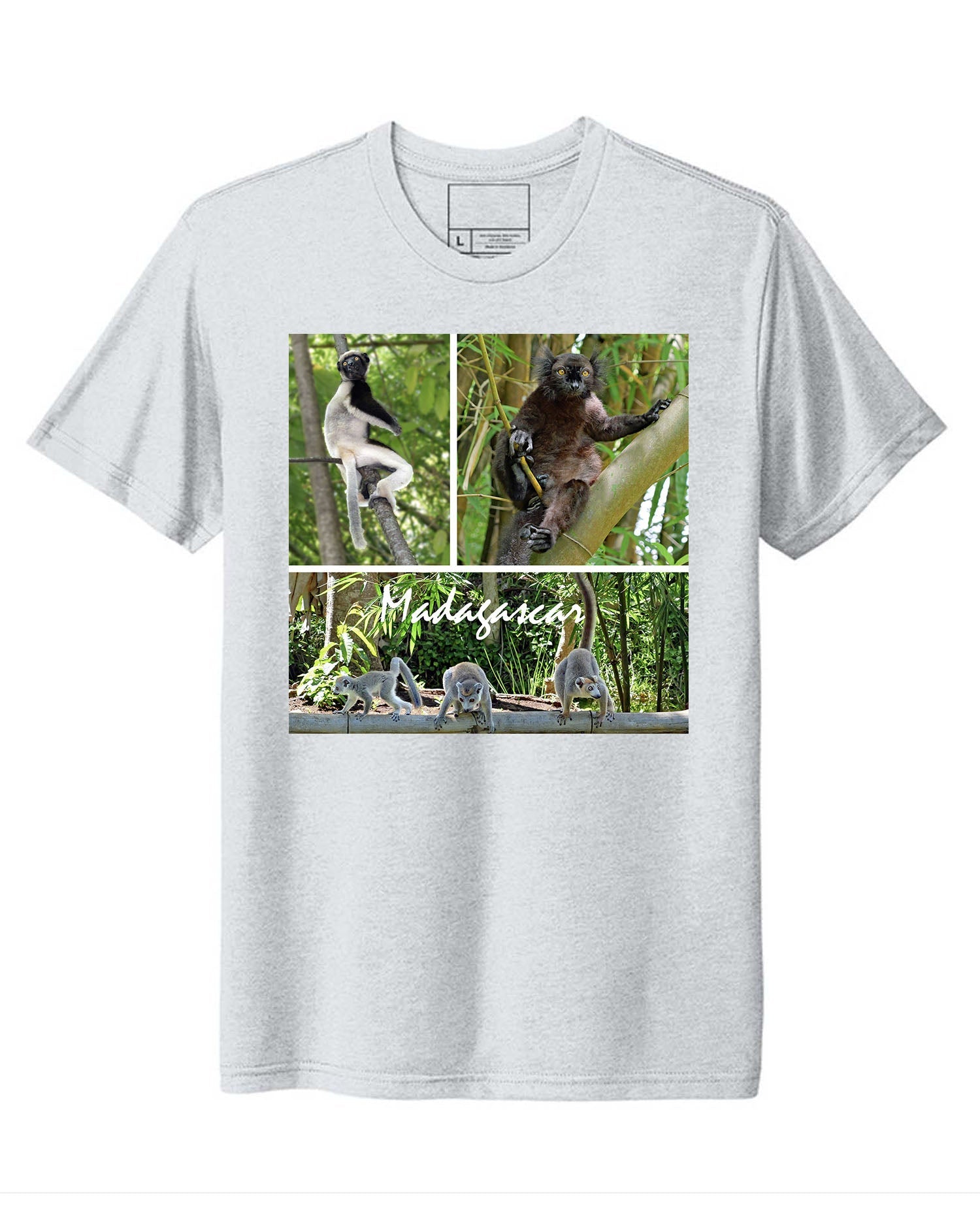 Madagascar