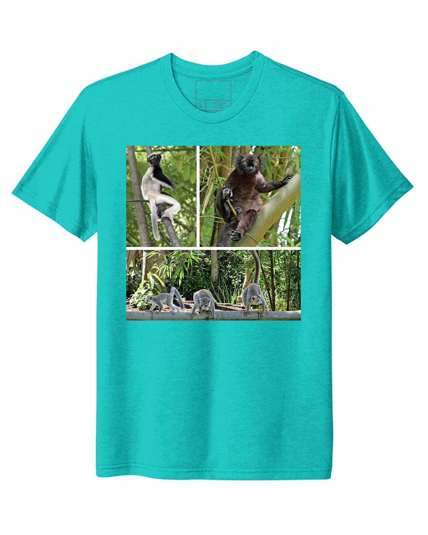 Madagascar
