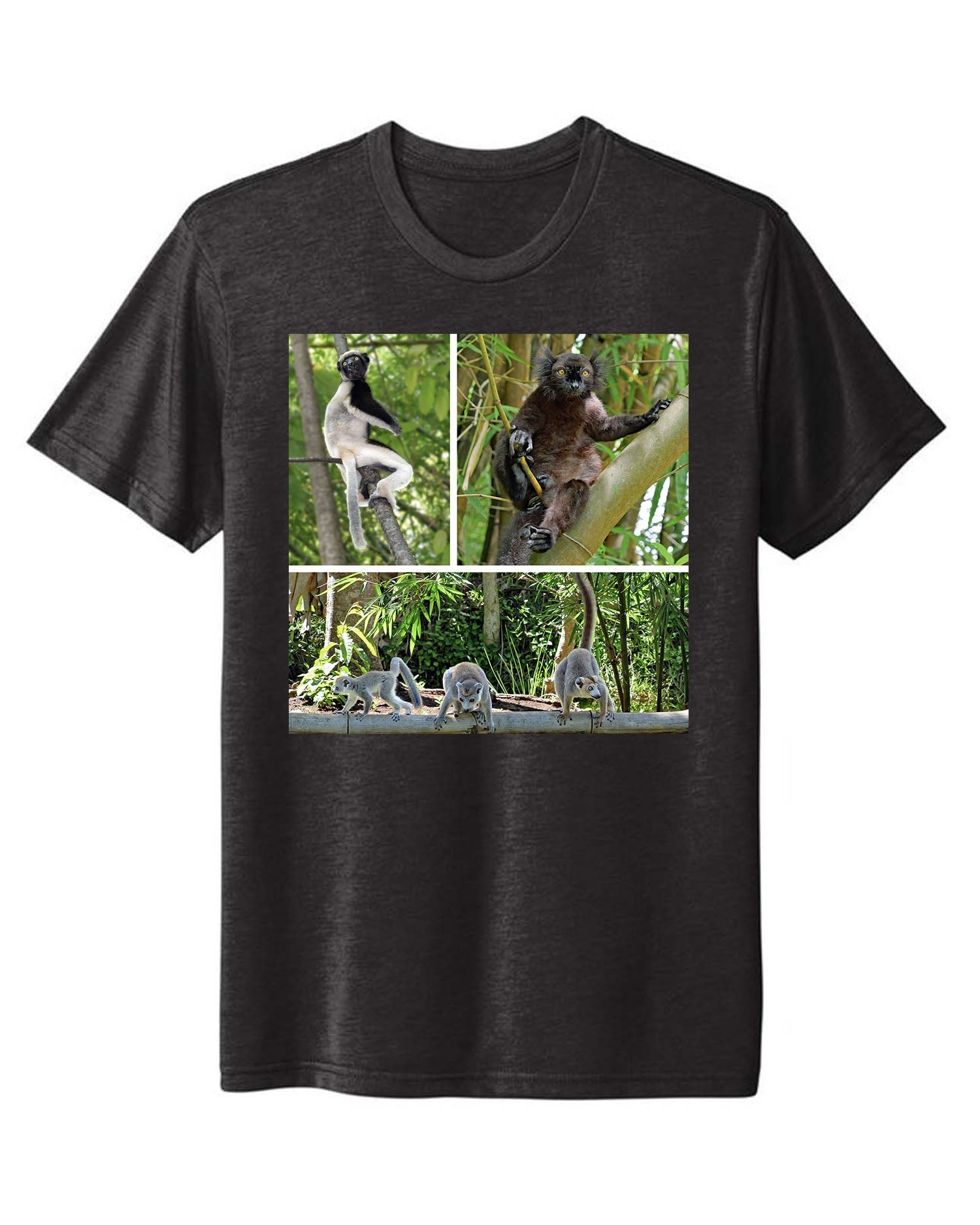 Madagascar