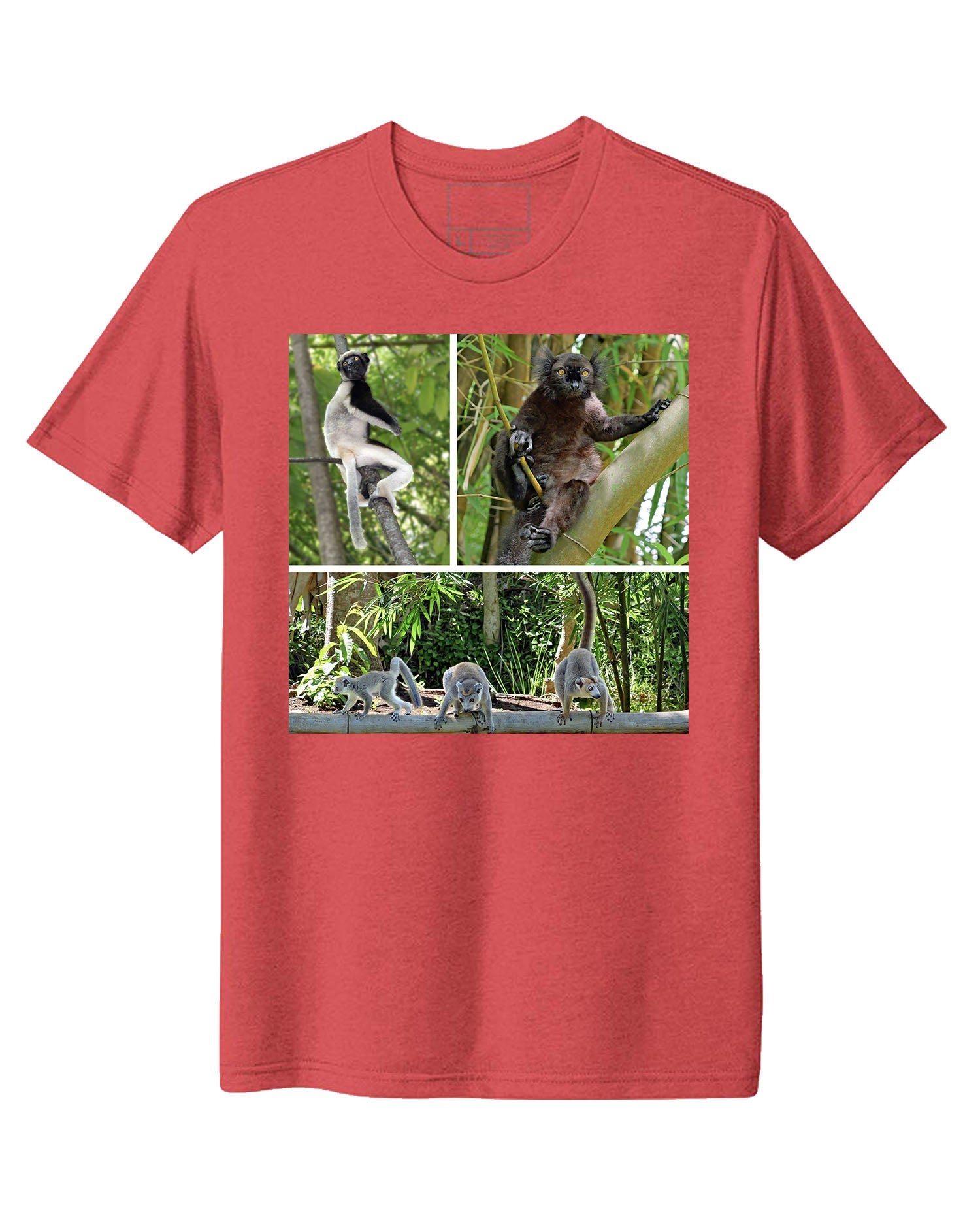 Madagascar
