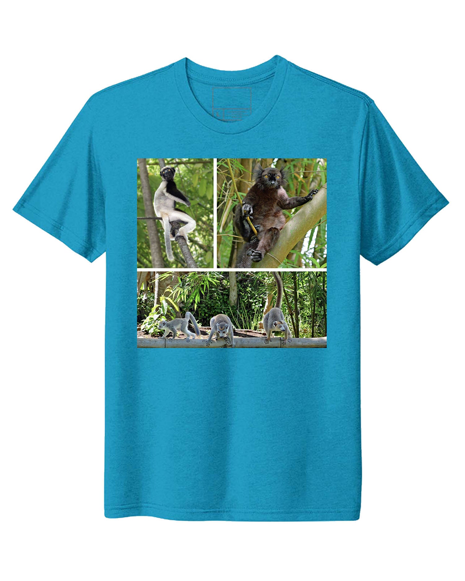 Madagascar