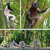 Madagascar