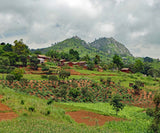 Malawi