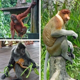 Malaysia