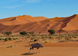 Namibia