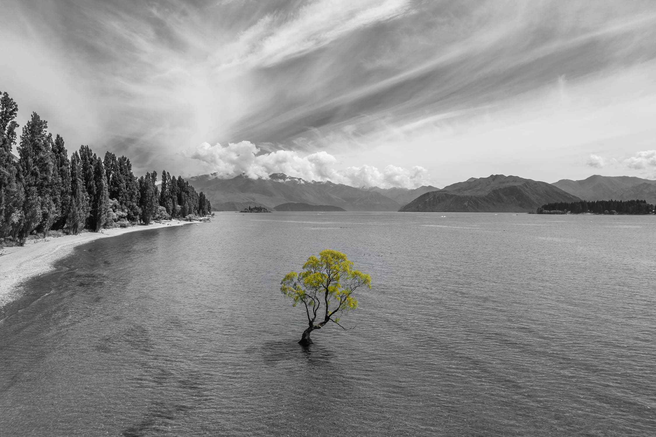 New Zealand