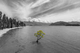 New Zealand