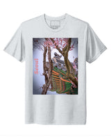 South korea