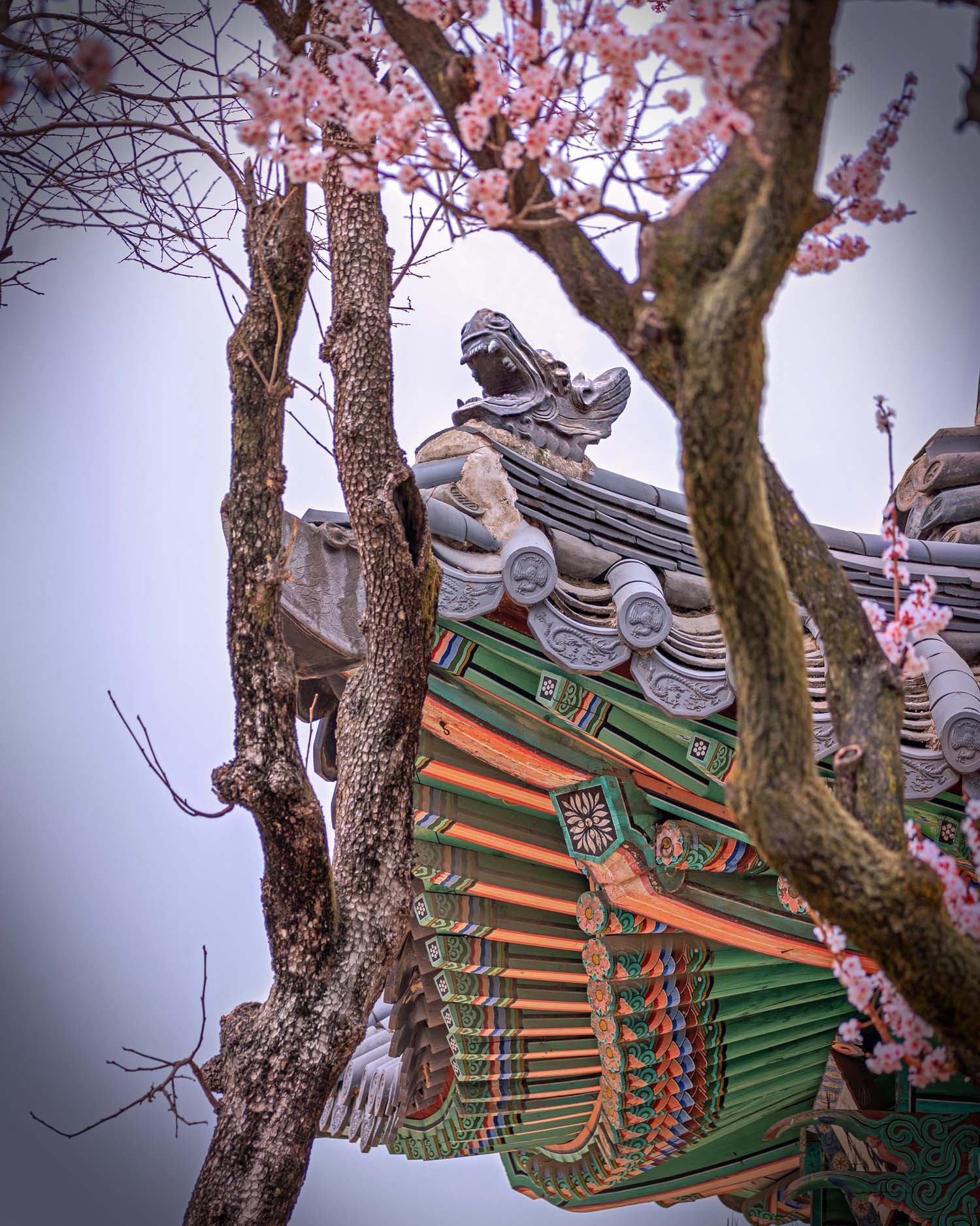 South Korea