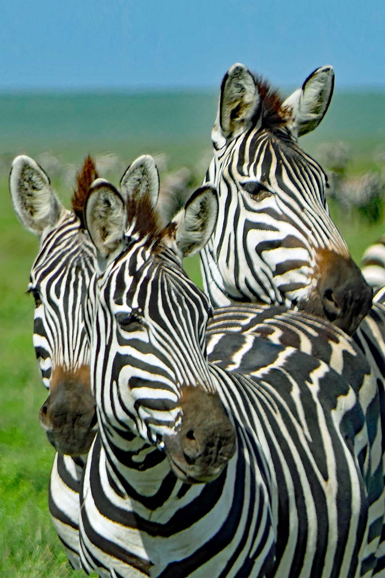 Tanzania