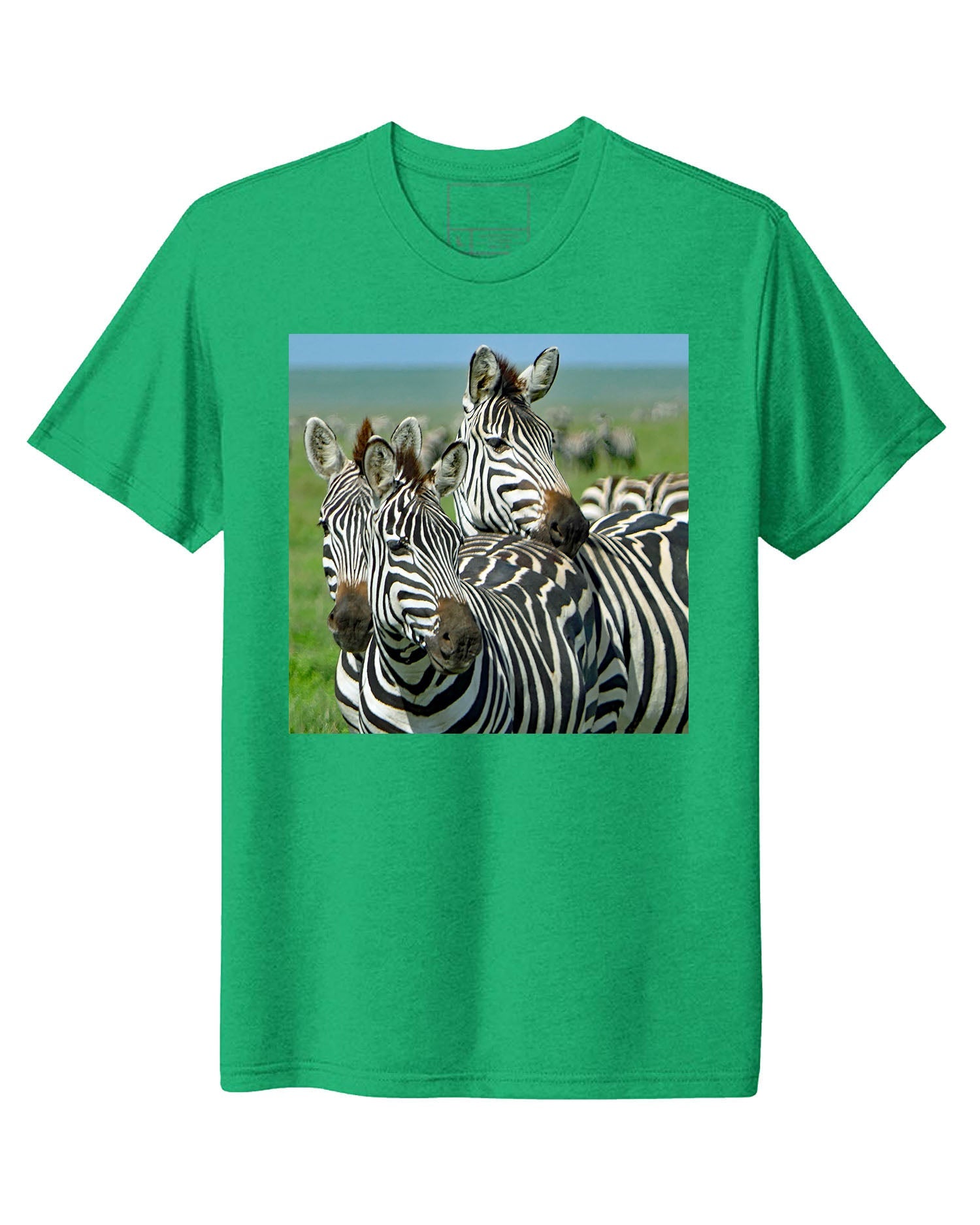 Tanzania