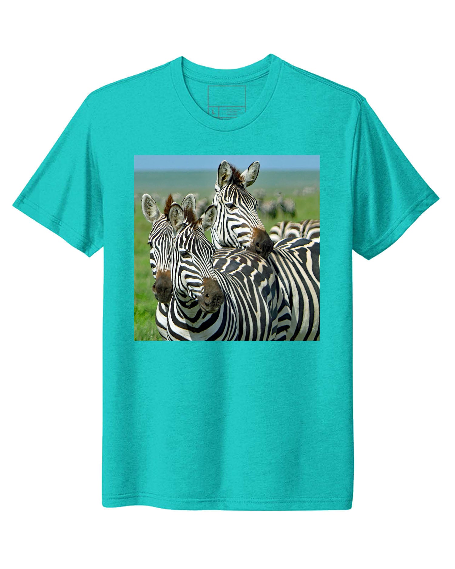 Tanzania