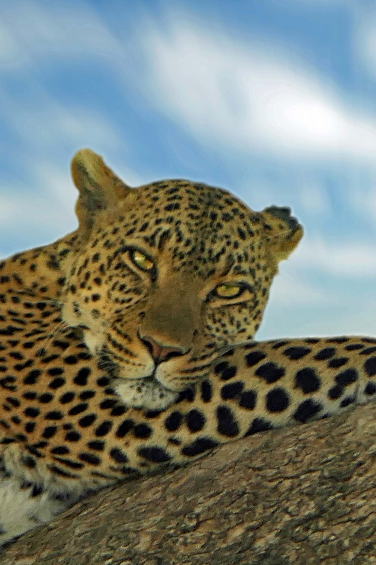 Tanzania