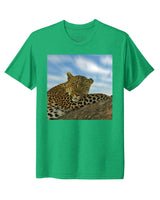 Tanzania