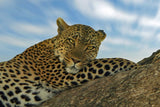 Tanzania